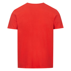 Image for color: rouge